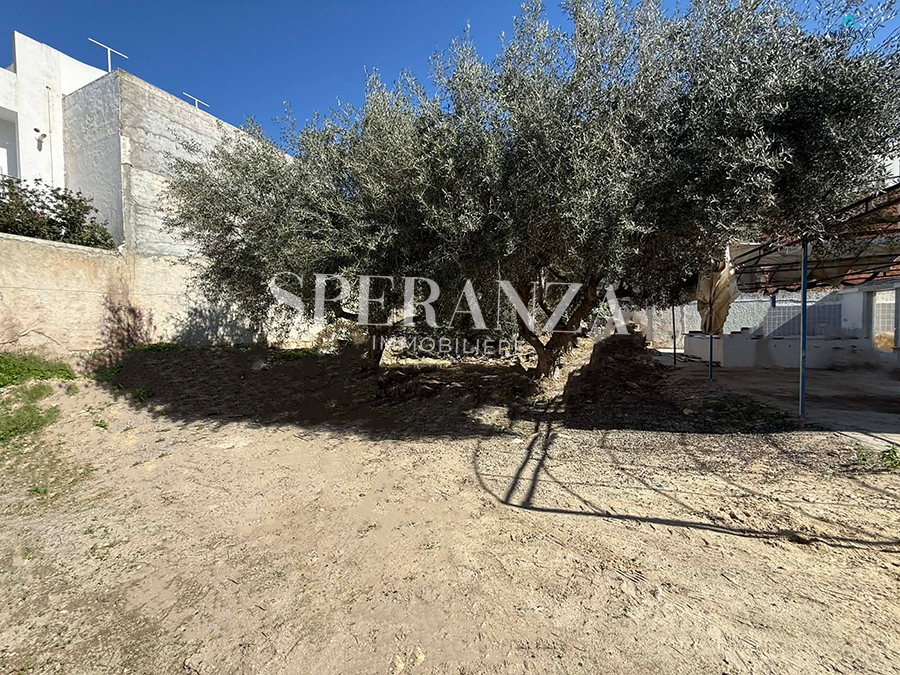 Hammamet&nbsp;Hammamet&nbsp;Vente&nbsp;Autre&nbsp;Terrain el yassamine