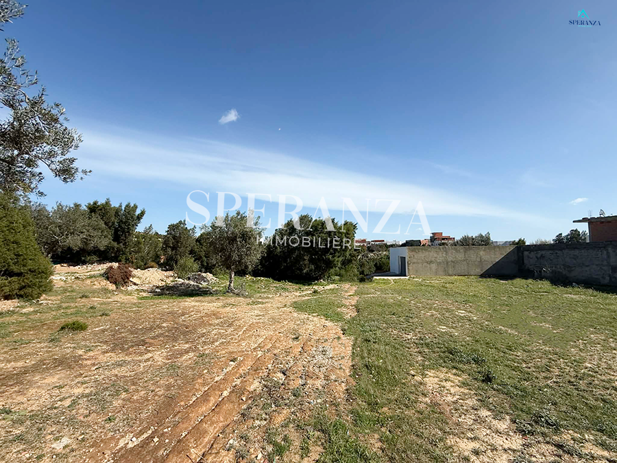 Hammamet&nbsp;Hammamet&nbsp;Vente&nbsp;Surfaces&nbsp;Terrain darej