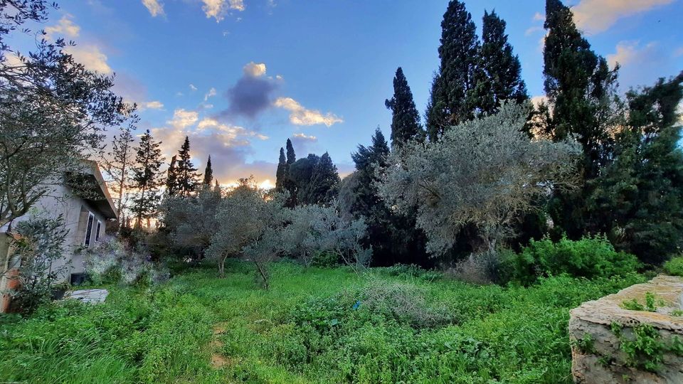 Ras Jebel&nbsp;Cite Kaa El Ballout&nbsp;Vente&nbsp;Maisons&nbsp;Maison s 2  terrain 310 m 2 route plage