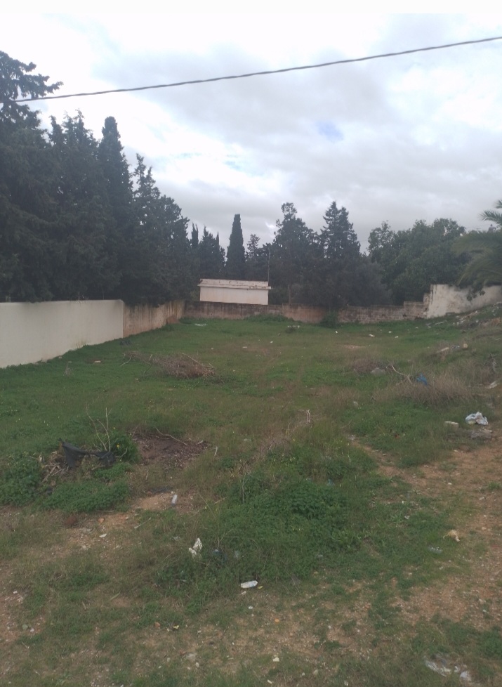 Hammamet&nbsp;Hammamet&nbsp;Terrain&nbsp;Terrain nu&nbsp;Lot viabilis� deux fa�ades 866m hammamet
