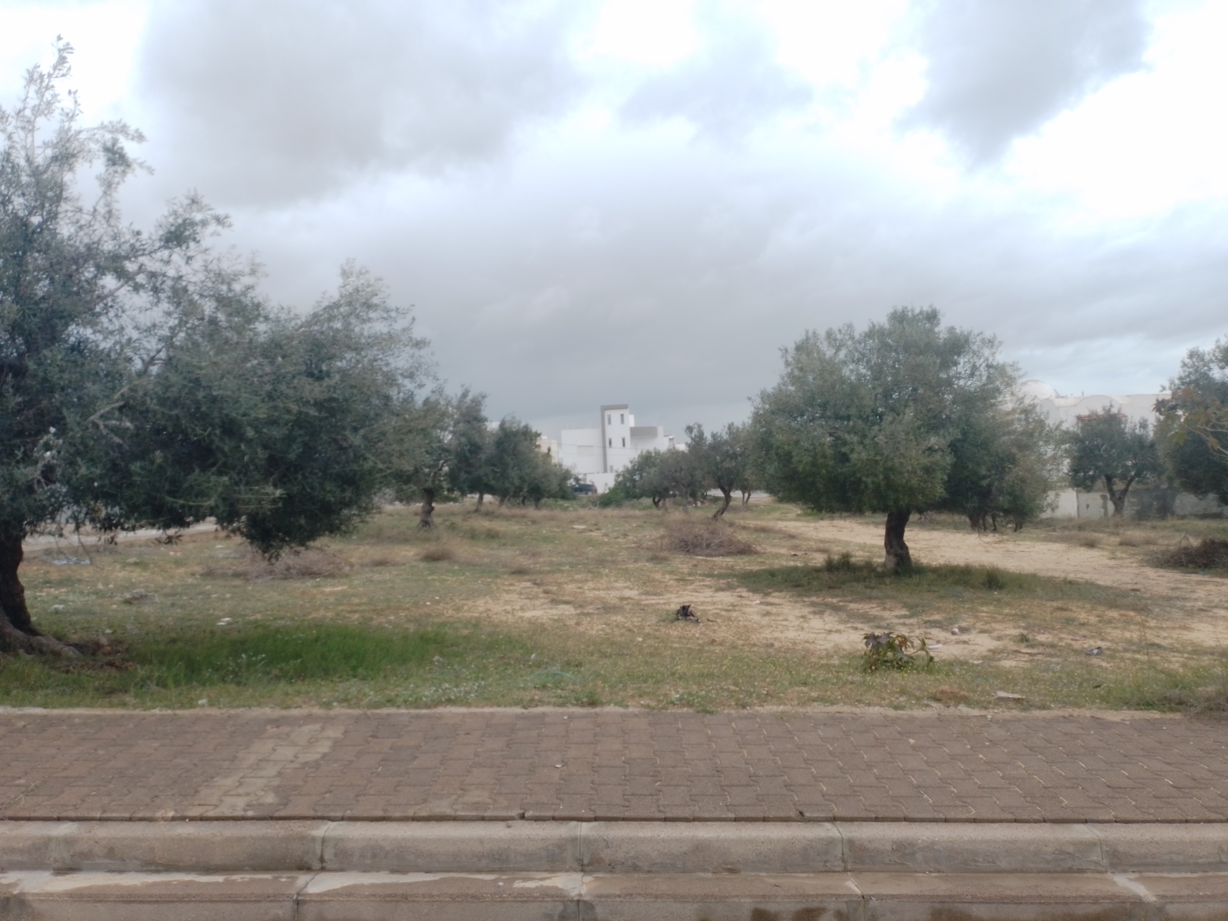 Hammamet&nbsp;Hammamet&nbsp;Terrain&nbsp;Terrain agricole&nbsp;Terrain 2077m trois fa�ades hammamet nord