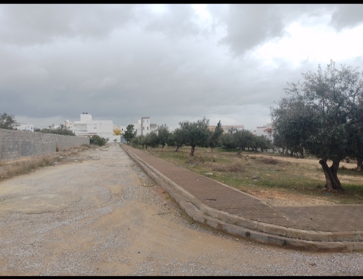 Hammamet&nbsp;Hammamet&nbsp;Terrain&nbsp;Terrain agricole&nbsp;Terrain 2077m trois fa�ades hammamet nord