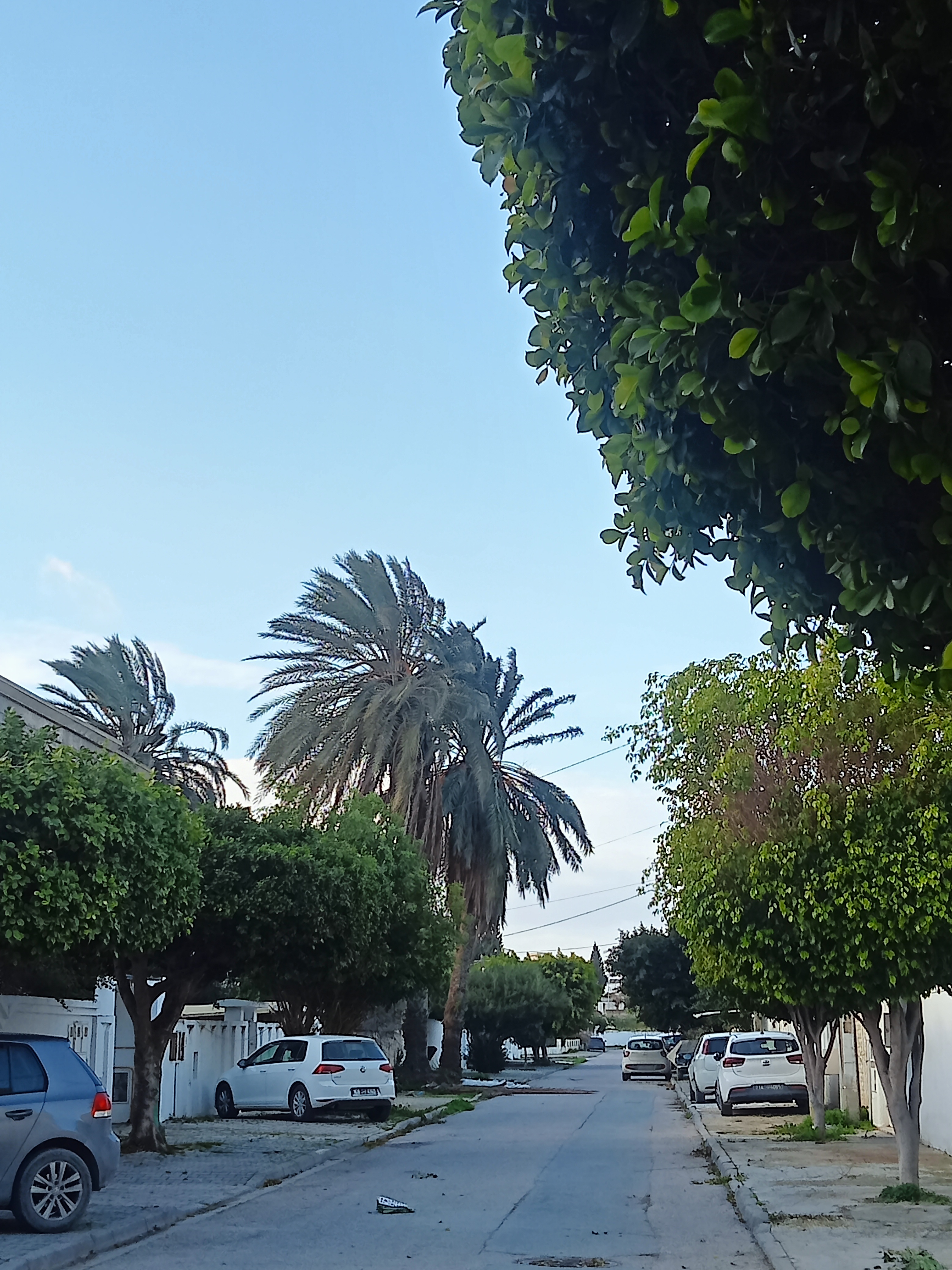 Megrine&nbsp;Megrine&nbsp;Terrain&nbsp;Terrain nu&nbsp;Terrain potentiel