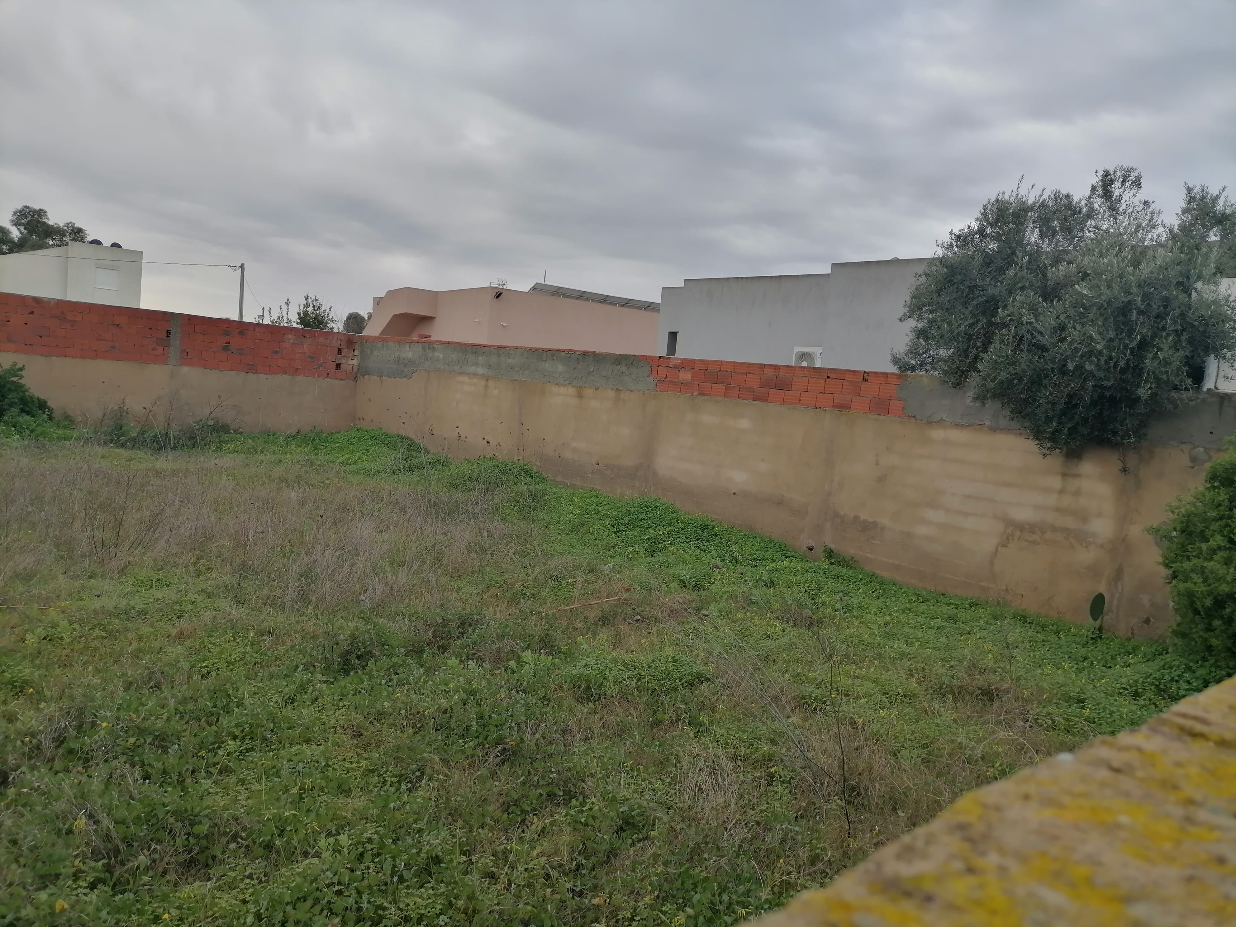 Sidi Thabet&nbsp;Cebalet Ben Ammar&nbsp;Terrain&nbsp;Terrain nu&nbsp;Terrain clotur�