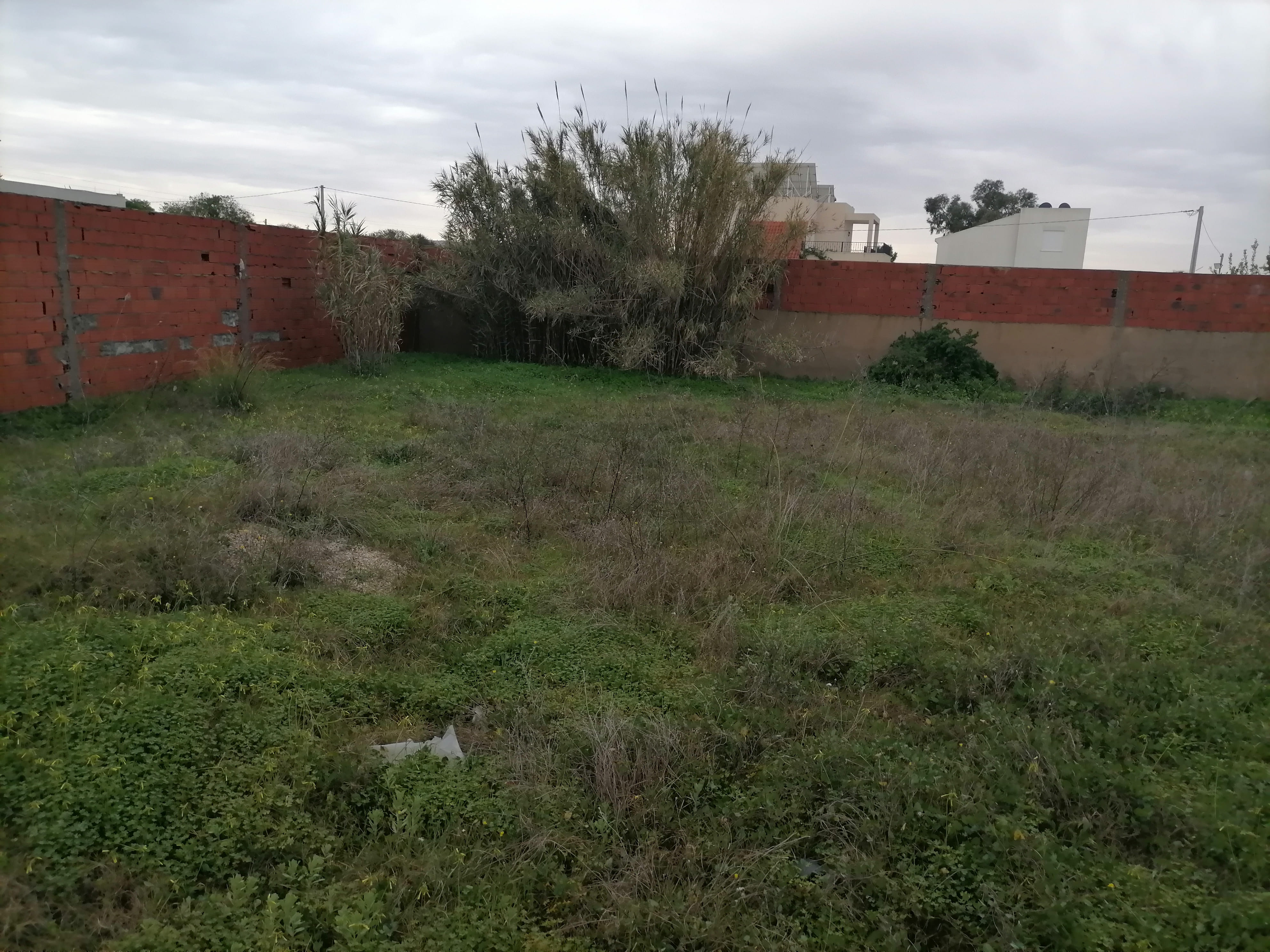 Sidi Thabet&nbsp;Cebalet Ben Ammar&nbsp;Terrain&nbsp;Terrain nu&nbsp;Terrain clotur�