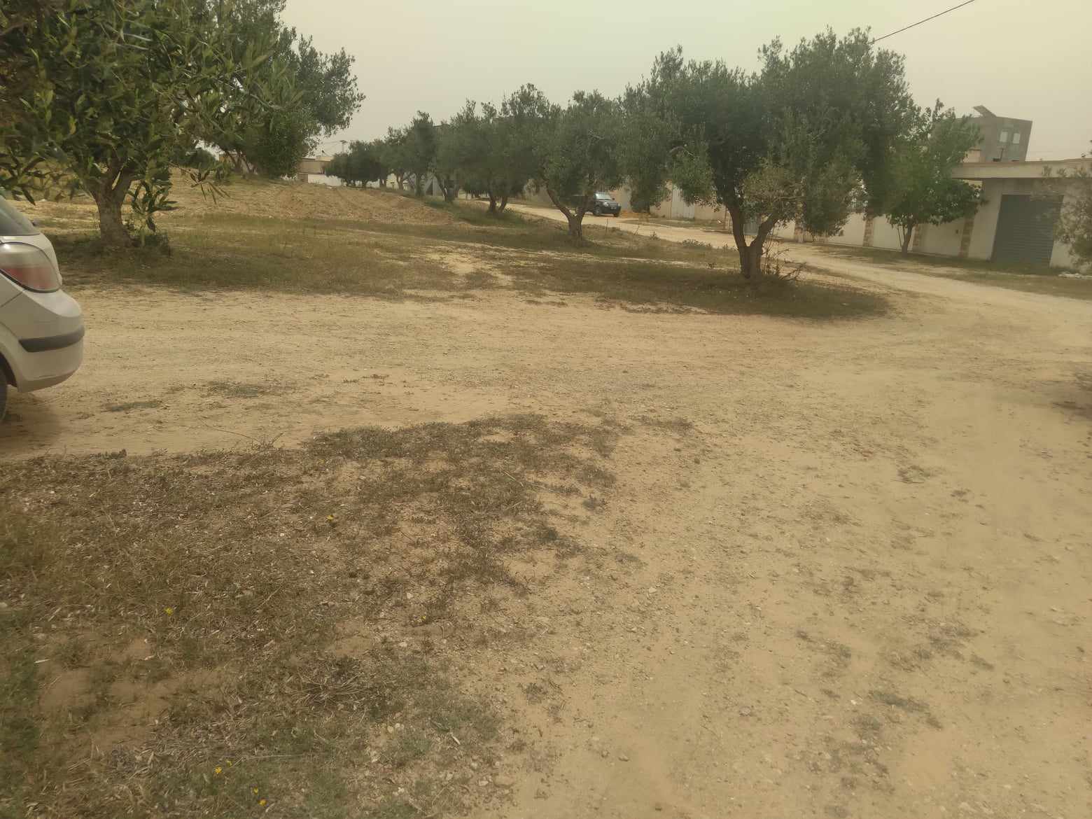 Soliman&nbsp;Soliman&nbsp;Terrain&nbsp;Terrain nu&nbsp;Lot de terrain 230 m2 � soliman