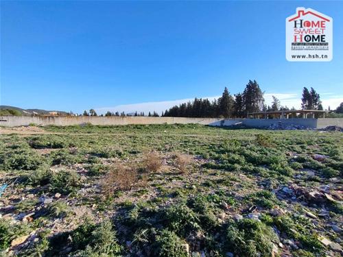 Bou Mhel El Bassatine&nbsp;Bou Mhel&nbsp;Terrain&nbsp;Terrain nu&nbsp;Terrain lavandula  � boumhal