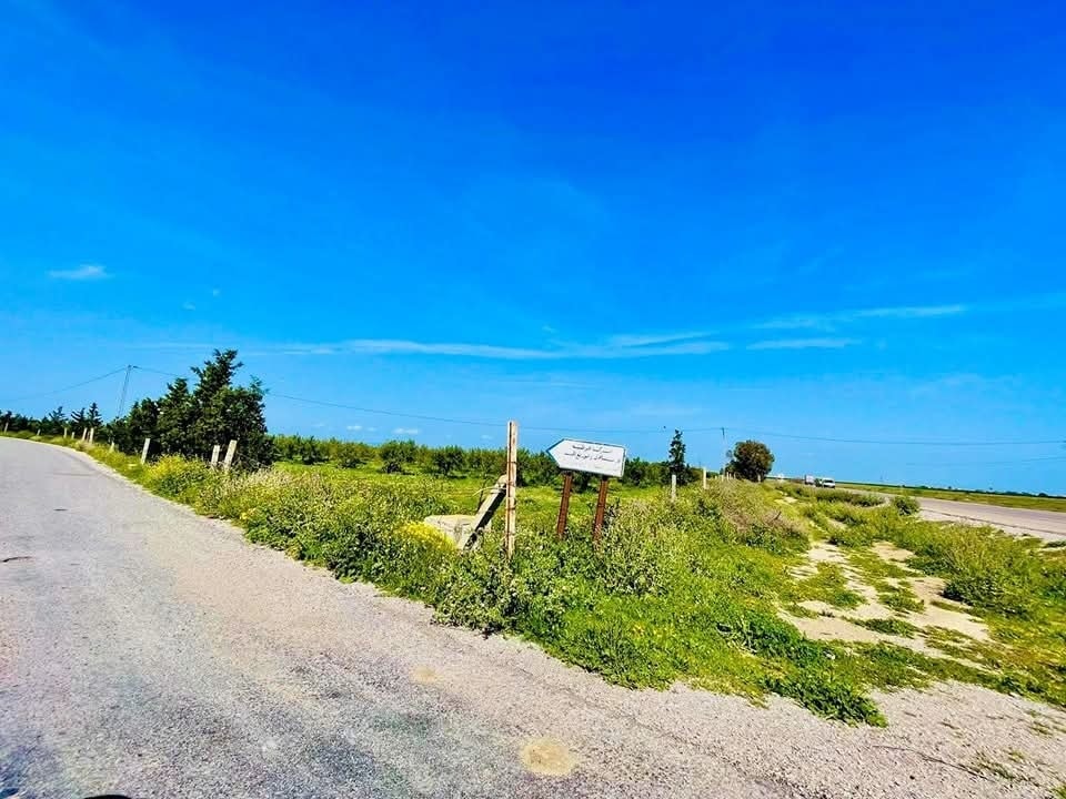 Bou Ficha&nbsp;Bou Ficha&nbsp;Terrain&nbsp;Terrain agricole&nbsp;Terrain  situ�  a bouficha