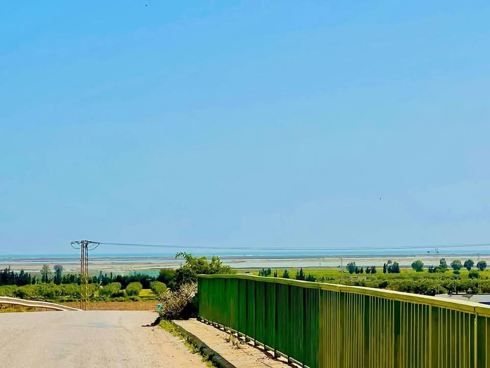 Bou Ficha&nbsp;Bou Ficha&nbsp;Terrain&nbsp;Terrain agricole&nbsp;Terrain  situ�  a bouficha  paiement par facilt�