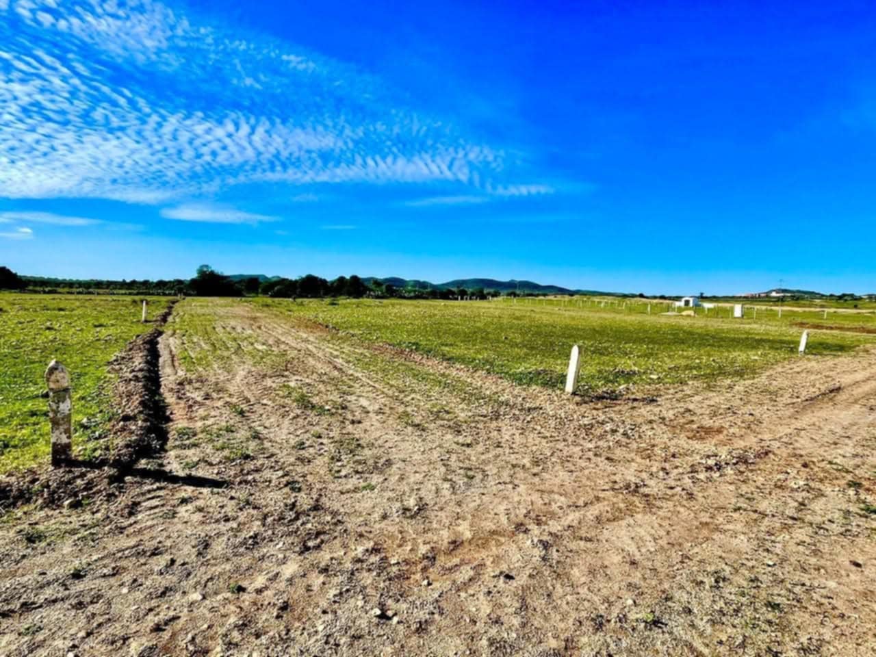 Bou Ficha&nbsp;Bou Ficha&nbsp;Terrain&nbsp;Terrain nu&nbsp;Offre sp�cial a bouficha