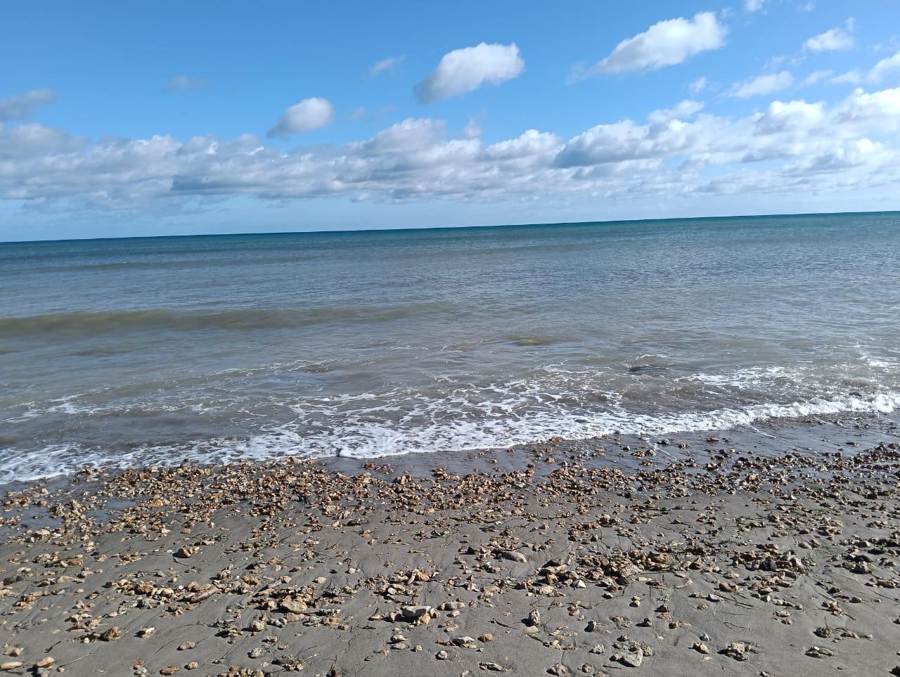 Kelibia&nbsp;Kelibia&nbsp;Vente&nbsp;Autre&nbsp;Pieds dans l'eau � hammam el ghzez