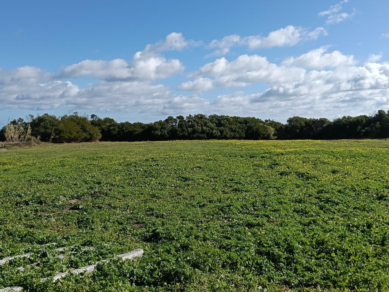 Hammam El Ghezaz&nbsp;Ezzahra&nbsp;Terrain&nbsp;Terrain agricole&nbsp;Emplacement strat�gique