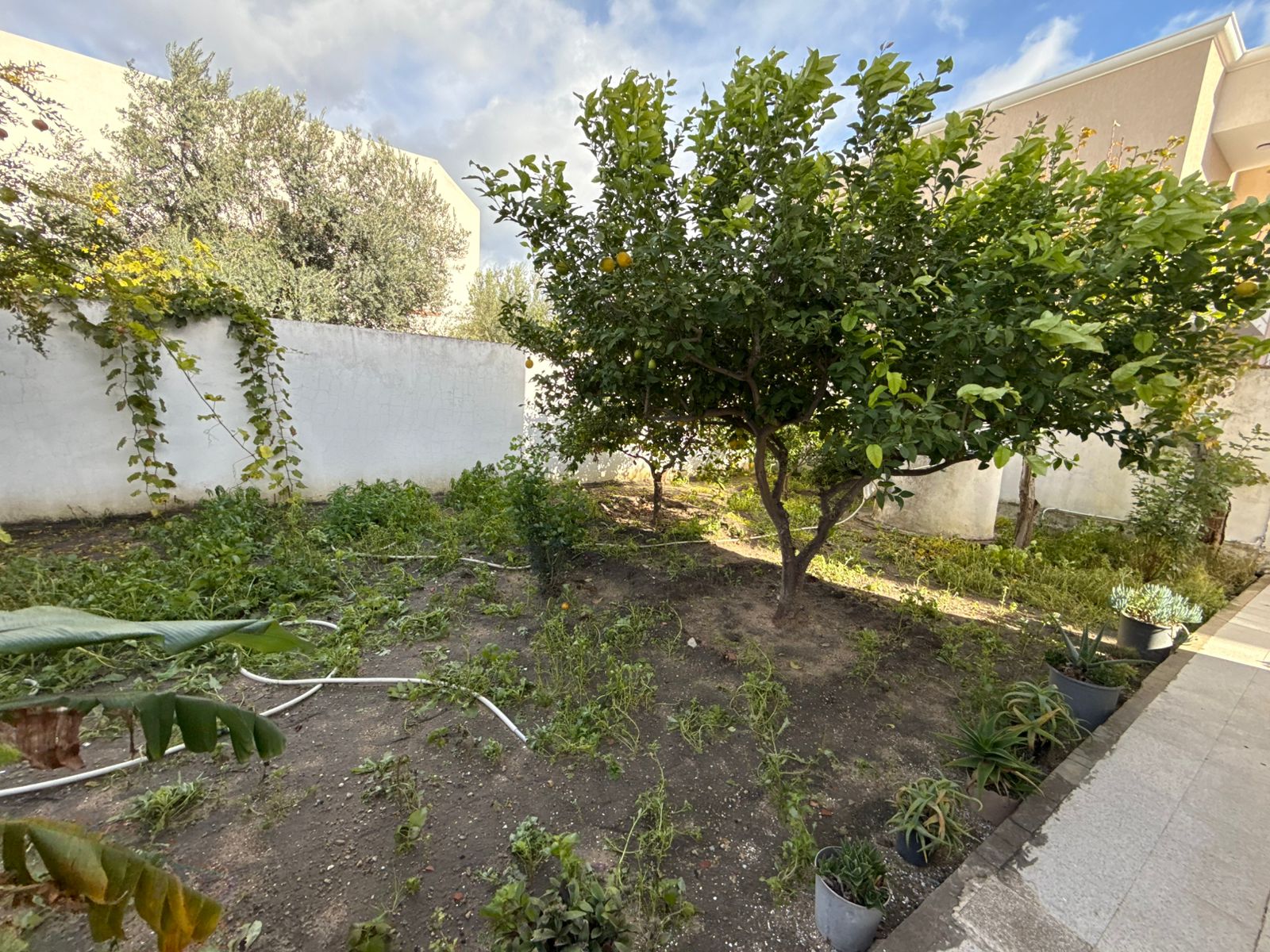 Tinja&nbsp;Tinja&nbsp;Vente&nbsp;Maisons&nbsp;Villa style arabesque