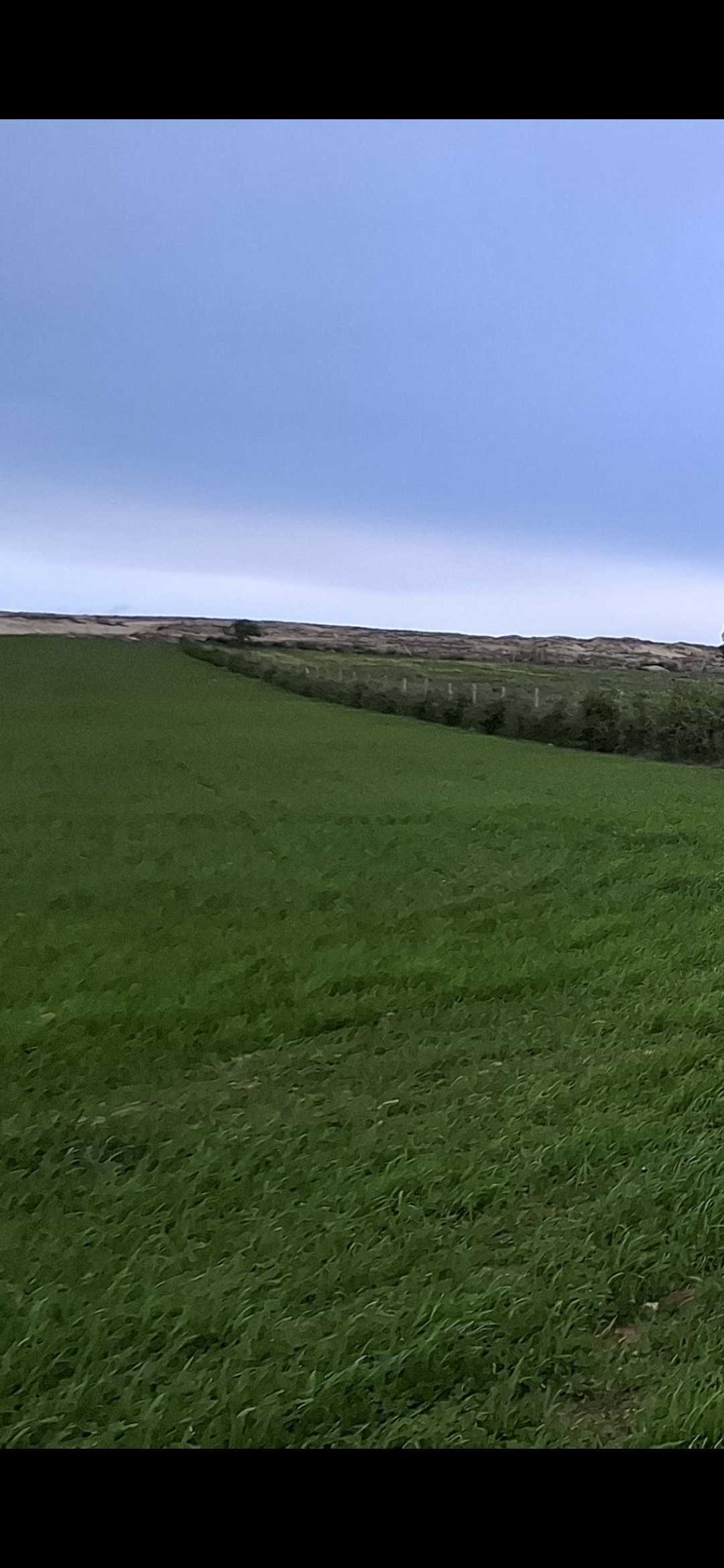 Mohamadia&nbsp;Mohamadia&nbsp;Vente&nbsp;Surfaces&nbsp;1000 m2 50 dinar m2