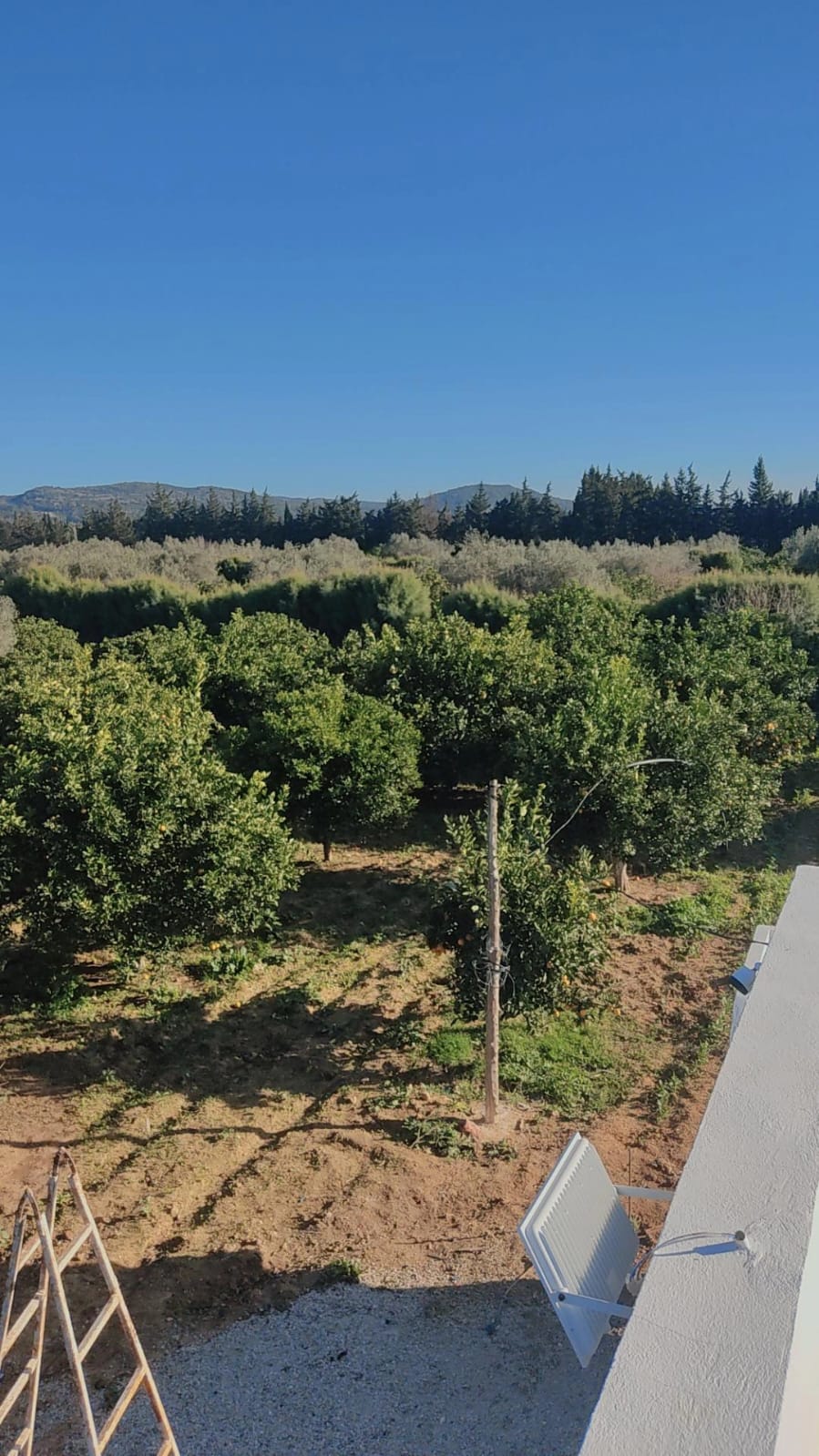 Menzel Bouzelfa&nbsp;Menzel Bouzelfa&nbsp;Terrain&nbsp;Terrain agricole&nbsp;Ferme agricole