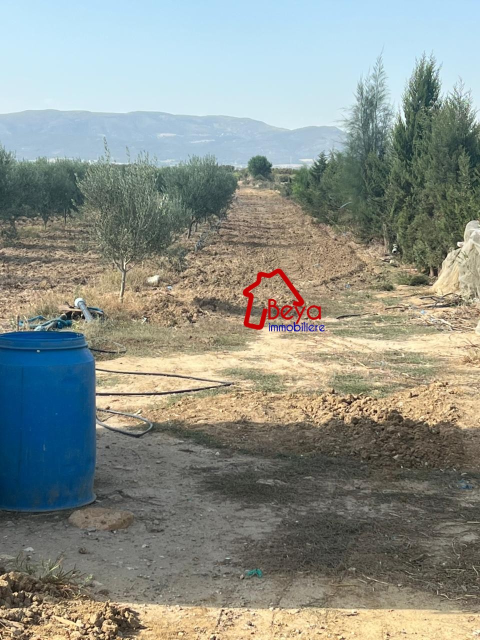 Soliman&nbsp;Soliman&nbsp;Terrain&nbsp;Terrain agricole&nbsp;Terrain birsa vtm087