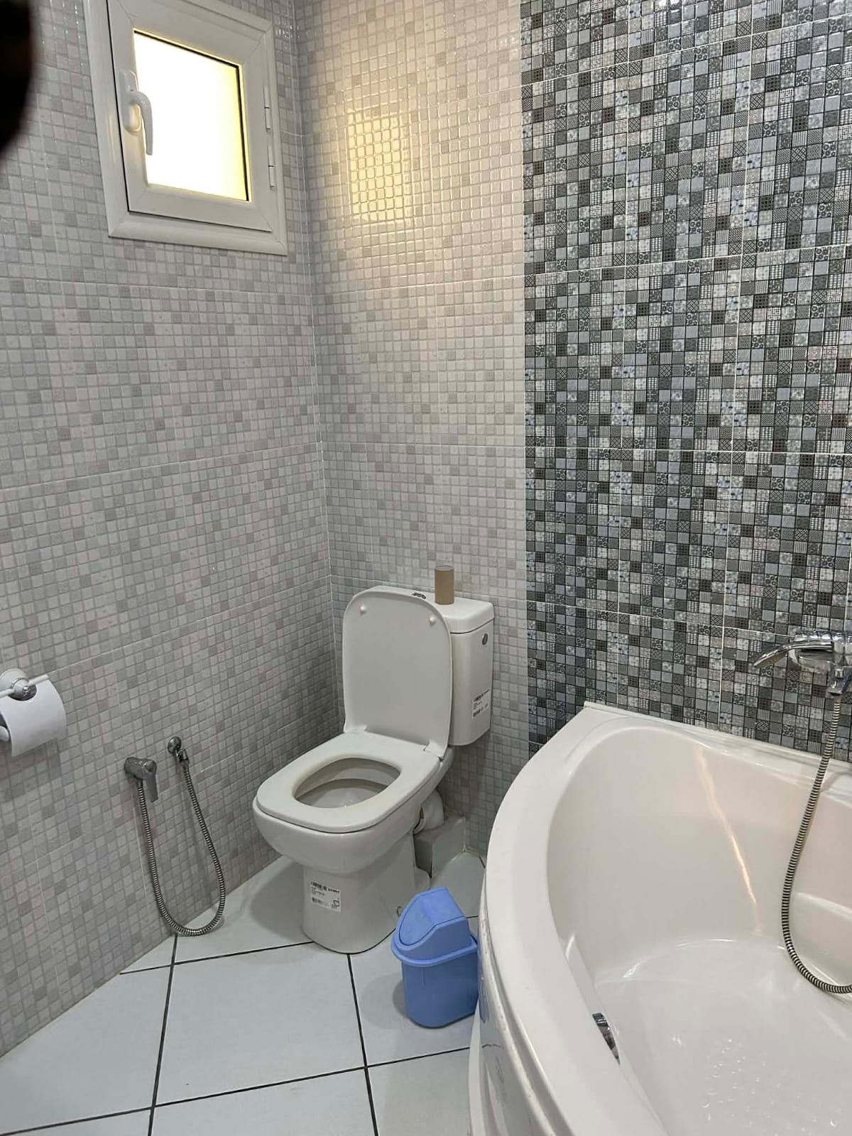 El Menzah&nbsp;Mutuelle Ville&nbsp;Location&nbsp;Maisons&nbsp;S plus 2 meubl� a mutuelle ville wb4431