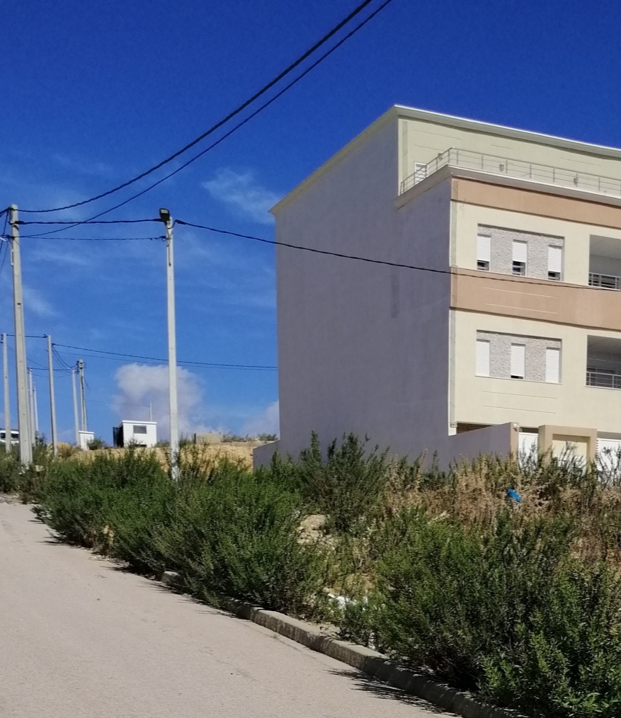 Oued Ellil&nbsp;Oued Ellil&nbsp;Terrain&nbsp;Terrain nu&nbsp;Terrain pour villa