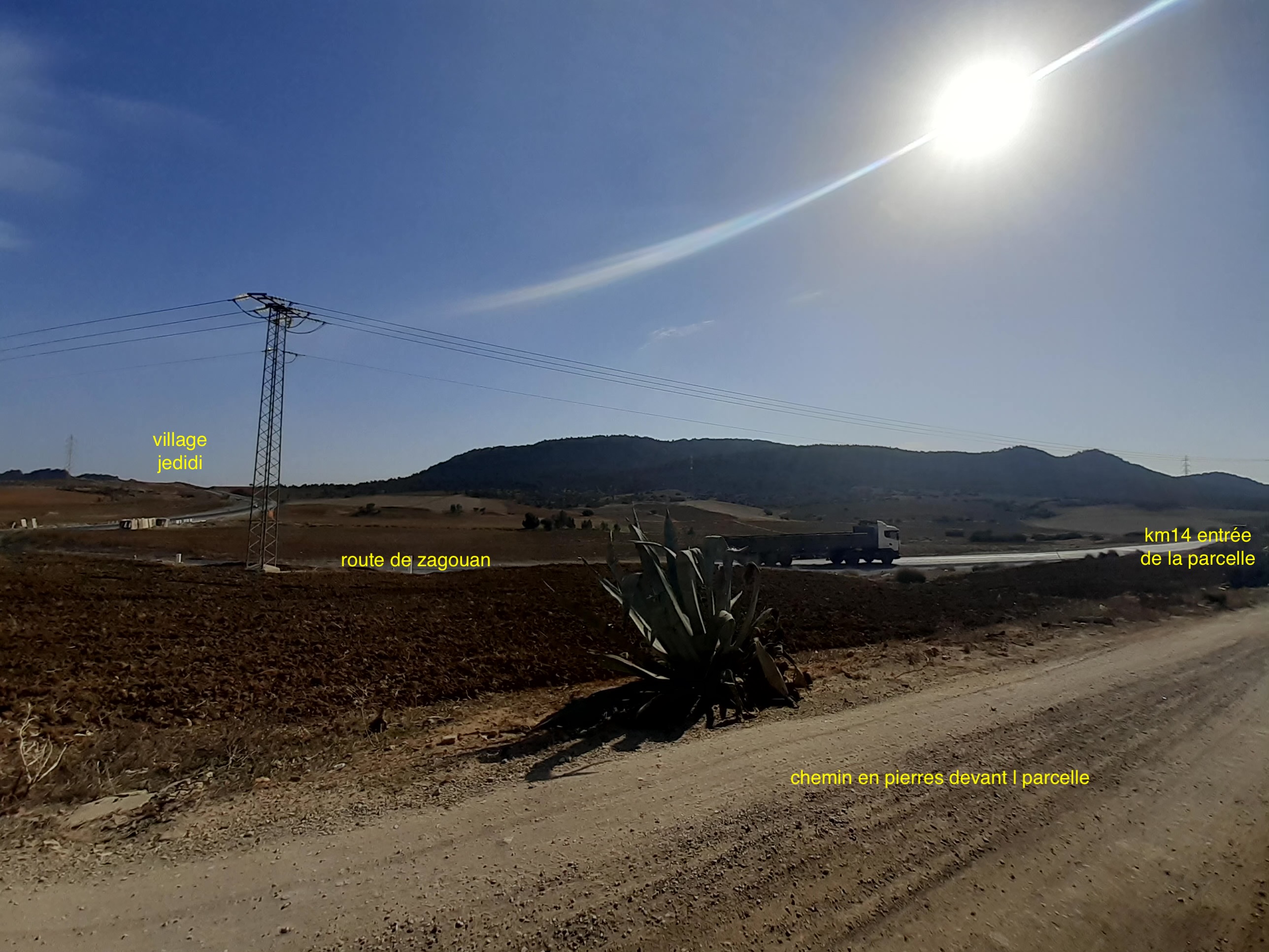 Hammamet&nbsp;Sidi Jedidi&nbsp;Terrain&nbsp;Terrain nu&nbsp;Belle occasion de terrain