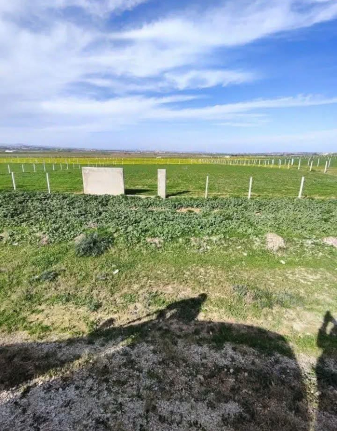 Mornaguia&nbsp;El Fejja&nbsp;Terrain&nbsp;Terrain nu&nbsp;Terrain constructible unique