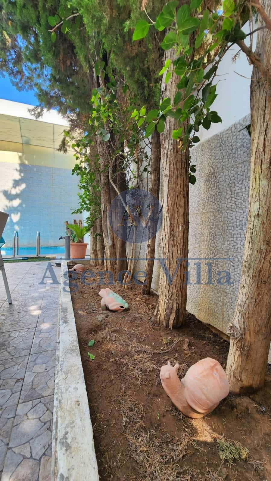 La Marsa&nbsp;Marsa Erriadh&nbsp;Location&nbsp;Appart. 4 pi�ces&nbsp;Villa s3 avec piscine � la marsa