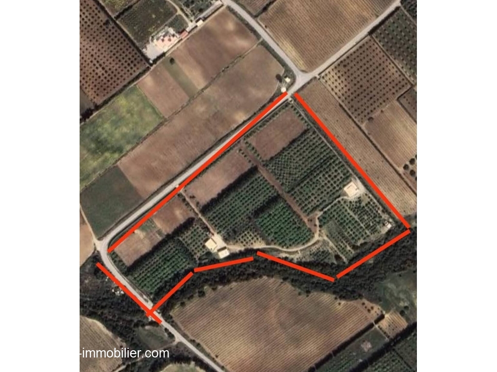 Nabeul&nbsp;Nabeul&nbsp;Terrain&nbsp;Terrain agricole&nbsp;Ferme hela t1227 nabeul