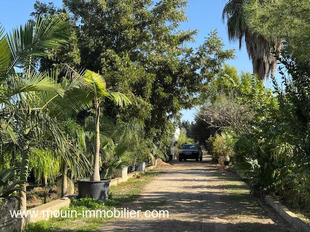 Beni Khalled&nbsp;Beni Khalled&nbsp;Terrain&nbsp;Terrain agricole&nbsp;Ferme beni khaled ii t1225 beni khaled