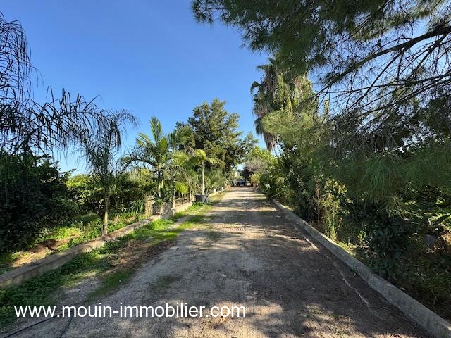 Beni Khalled&nbsp;Beni Khalled&nbsp;Terrain&nbsp;Terrain agricole&nbsp;Ferme beni khaled ii t1225 beni khaled