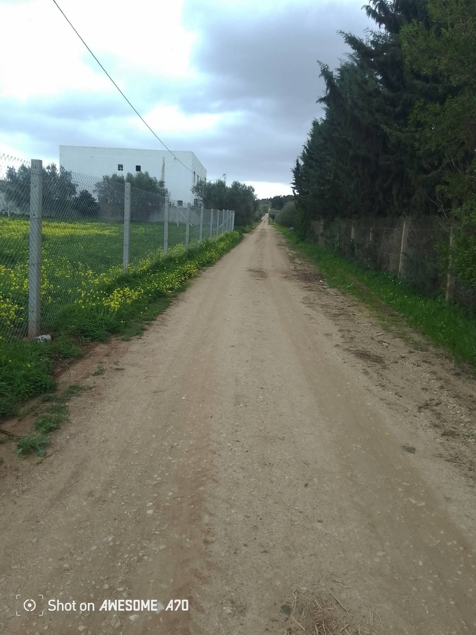 Sidi Thabet&nbsp;Sidi Thabet&nbsp;Terrain&nbsp;Terrain nu&nbsp;Lots de terrain de 1000 m situ�s � sidi thabet