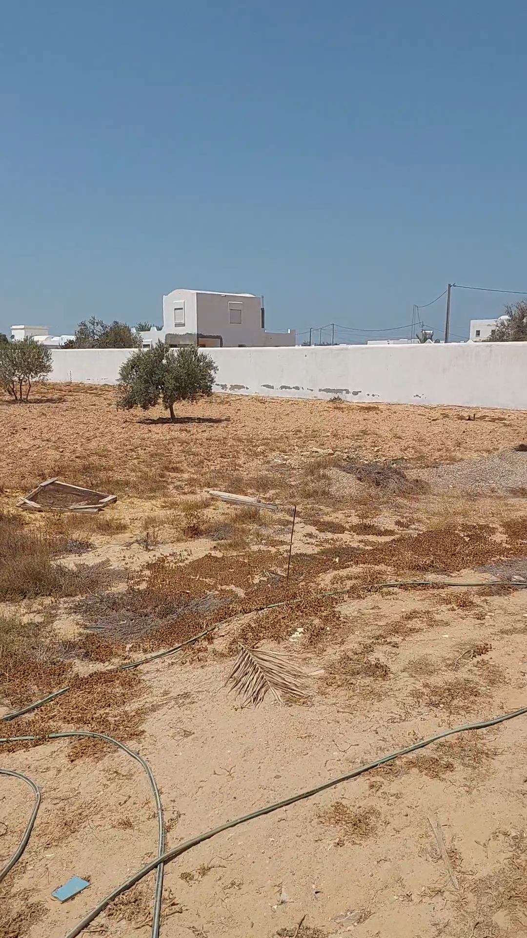 Djerba - Houmet Essouk&nbsp;Sedghiane&nbsp;Terrain&nbsp;Terrain nu&nbsp;Terrain clotur� de 3900 m2 avec permit de batir