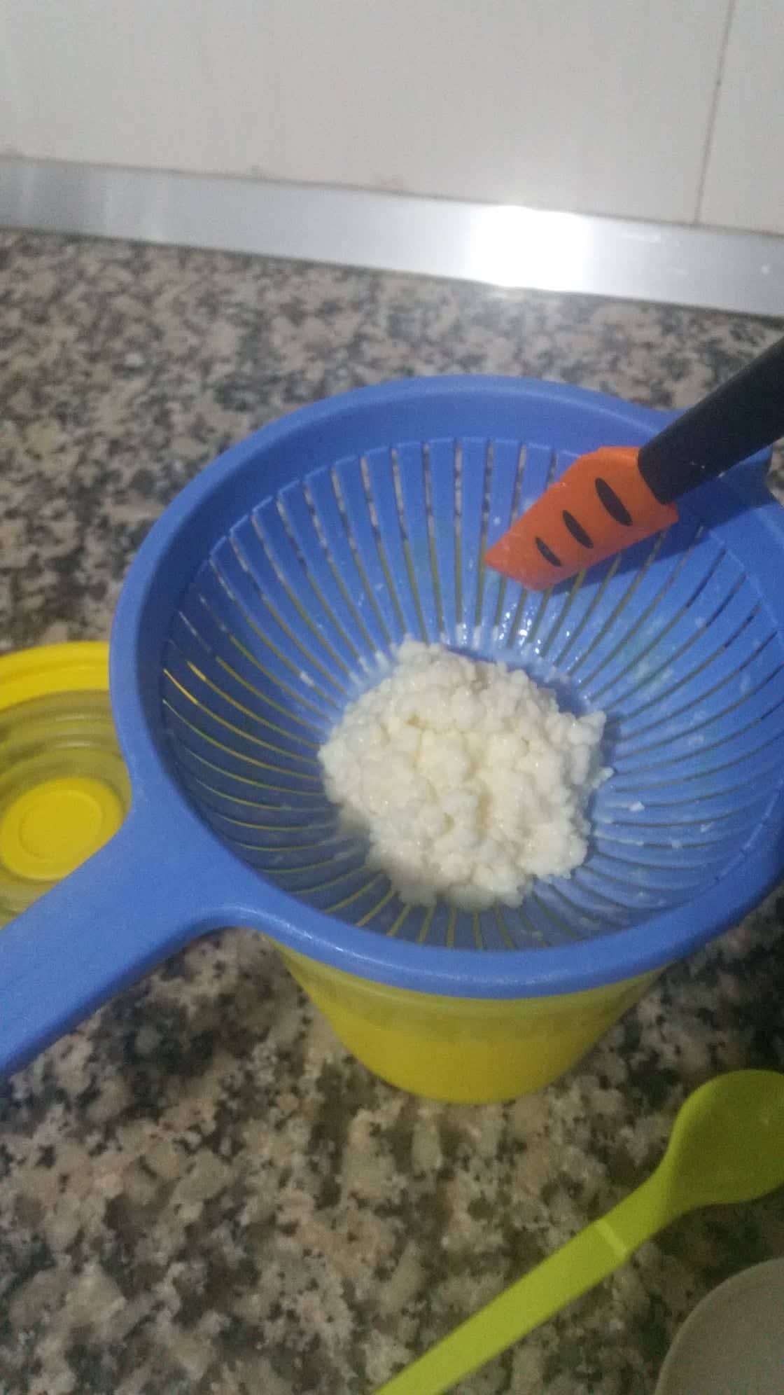 Cite El Khadra&nbsp;Cite Oplympique&nbsp;Autre&nbsp;Autre&nbsp;Grains de k�fir gratuits