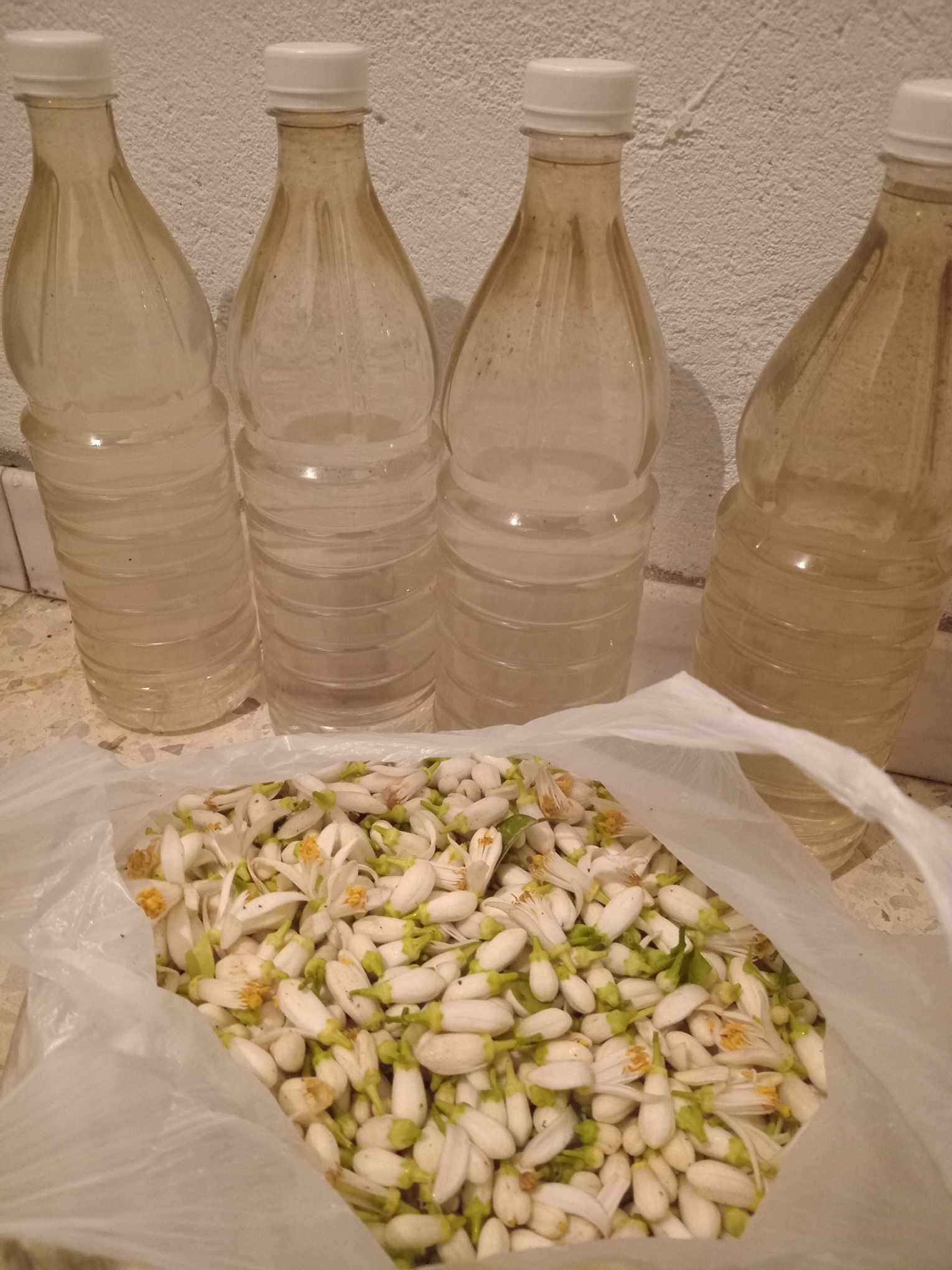 Sakiet Ezzit&nbsp;Sakiet Ezzit&nbsp;Autre&nbsp;Autre&nbsp;Eau d'orangier