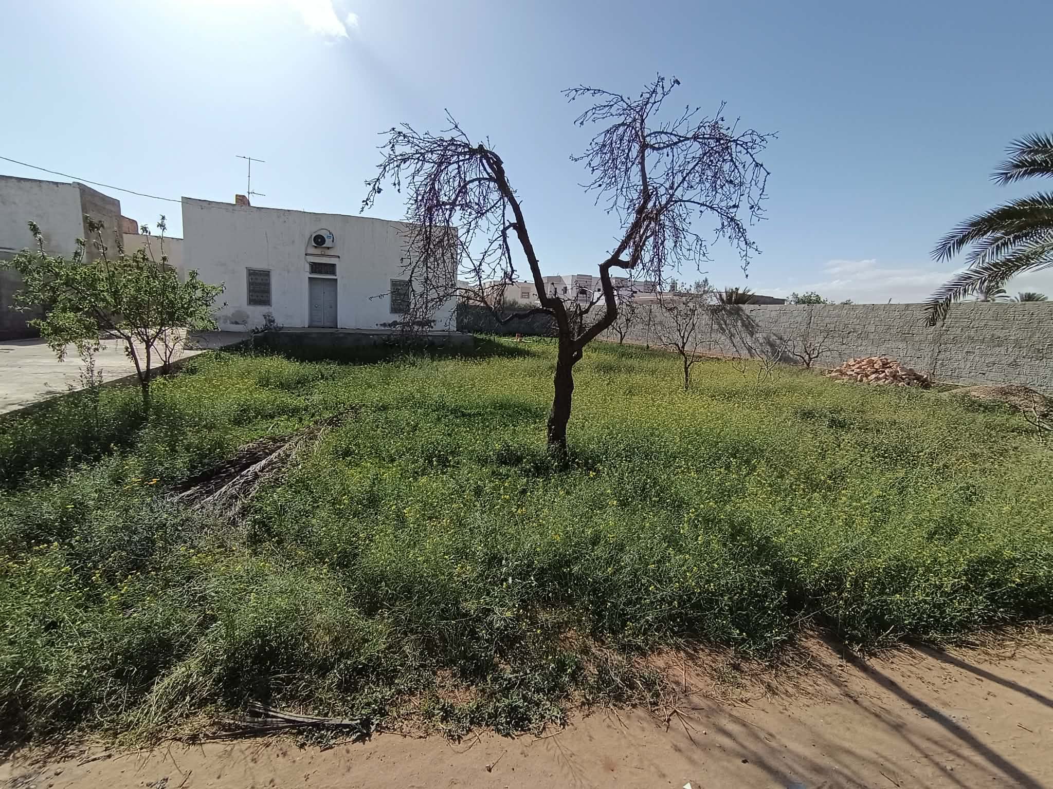 Sfax Ville&nbsp;Sfax&nbsp;Terrain&nbsp;Terrain nu&nbsp;Terrain bon emplacement rte bouzayen