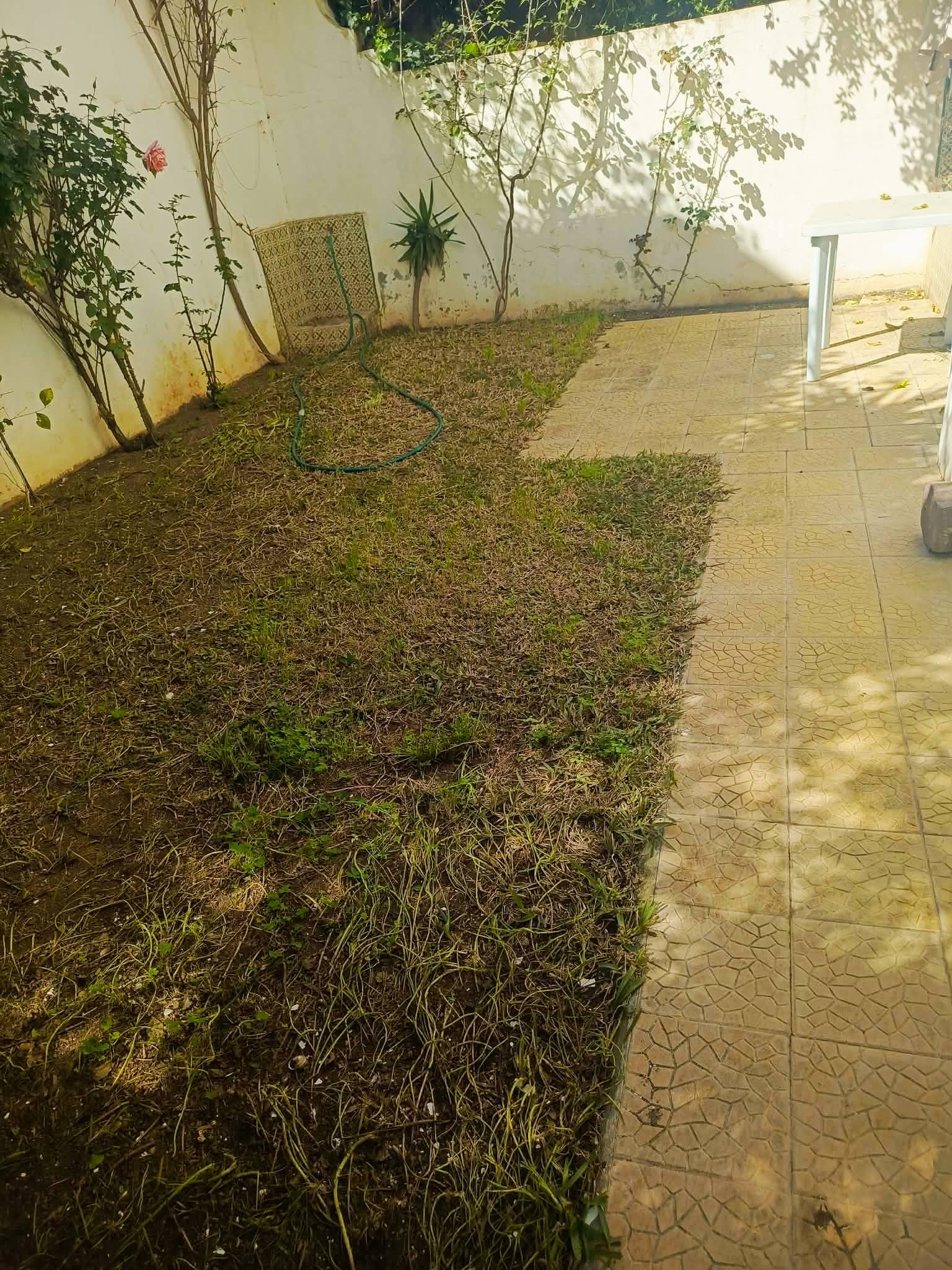 Ariana Ville&nbsp;Cite Ennasr 2&nbsp;Location&nbsp;Appart. 5 pi�ces+&nbsp;Ennasr 2 spacieux appt s4 avec jardin et terrasse