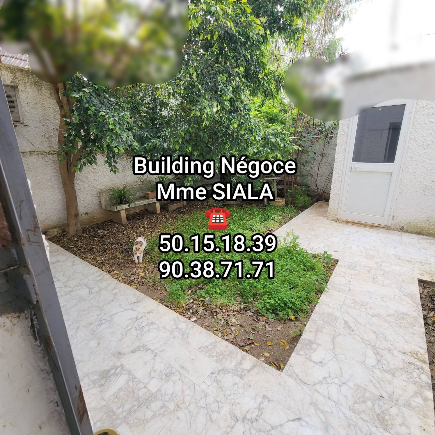 Ariana Ville&nbsp;El Menzah 6&nbsp;Location&nbsp;Duplex&nbsp;Menzah 6 triplex s4 avec jardin et sondage