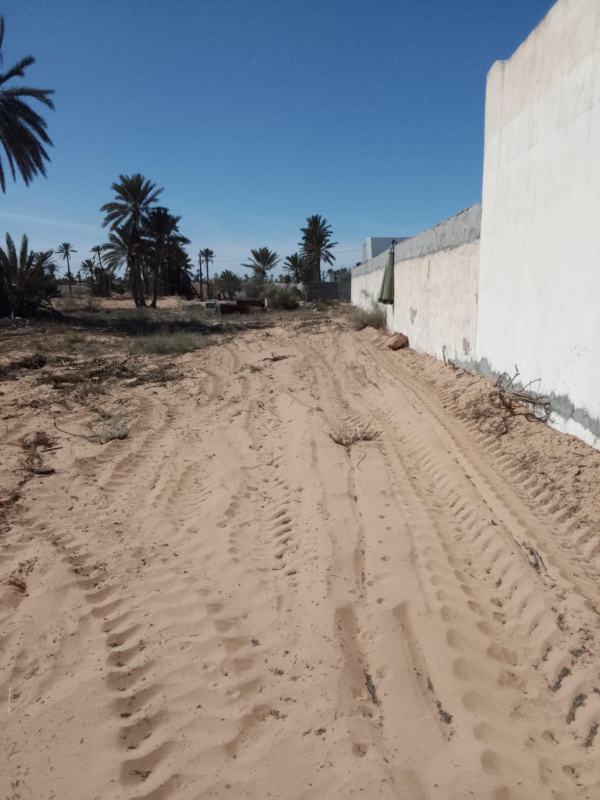 Djerba - Midoun&nbsp;El Hadadda&nbsp;Terrain&nbsp;Terrain nu&nbsp;Terrain a hededda arkou