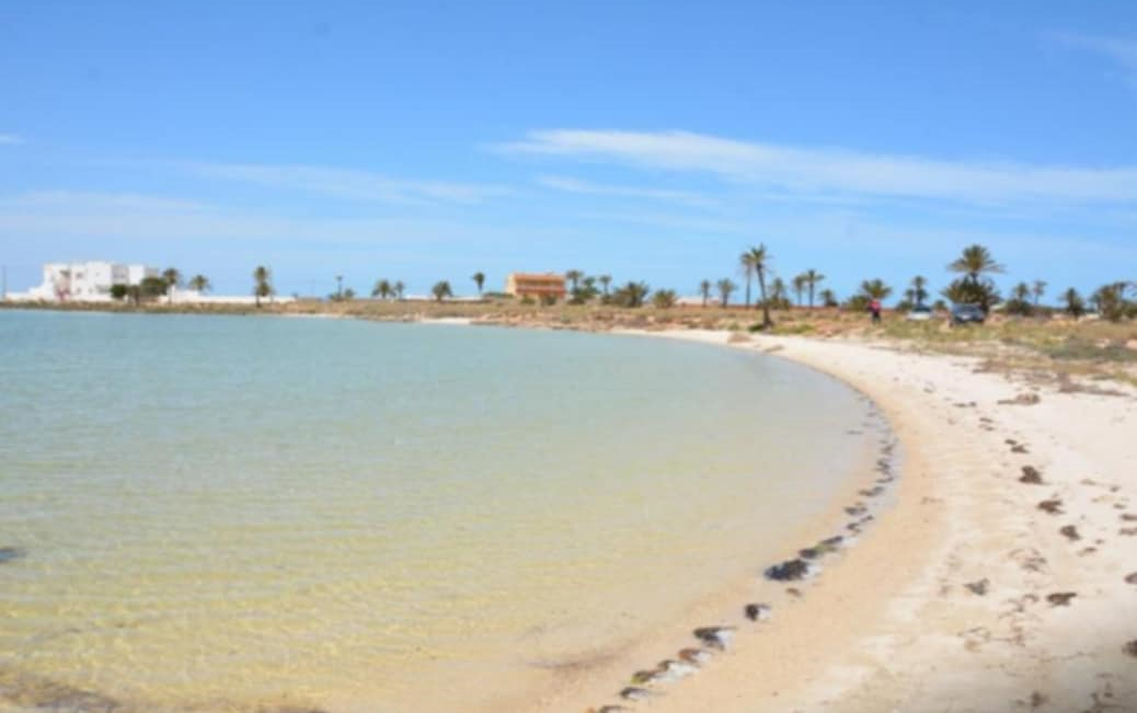 Kerkenah&nbsp;Ouled Yaneg&nbsp;Terrain&nbsp;Terrain nu&nbsp;Lots de terrains � sidi fradj  kerkennah