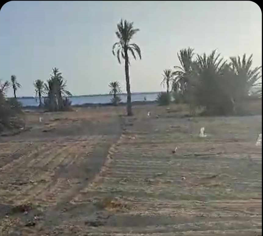 Kerkenah&nbsp;Ouled Yaneg&nbsp;Terrain&nbsp;Terrain nu&nbsp;Lots de terrains � sidi fradj  kerkennah