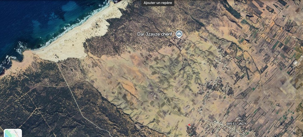 El Haouaria&nbsp;Bir El Jedey&nbsp;Terrain&nbsp;Terrain agricole&nbsp;Terrain bir e ljedy