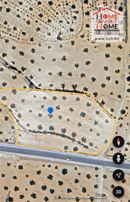 Kondar&nbsp;Kondar&nbsp;Terrain&nbsp;Terrain agricole&nbsp;Terrain agricole olivon � kondar sousse