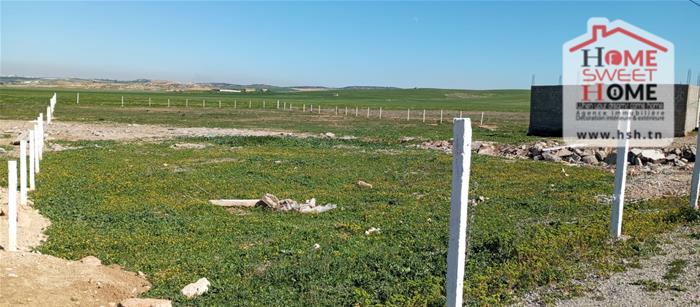 Mornaguia&nbsp;Mornaguia&nbsp;Terrain&nbsp;Terrain agricole&nbsp;Terrain agricole terrafia � mornaguia