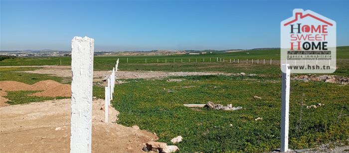 Mornaguia&nbsp;Mornaguia&nbsp;Terrain&nbsp;Terrain agricole&nbsp;Terrain agricole terrafia � mornaguia