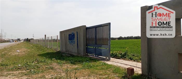 Tebourba&nbsp;Tebourba&nbsp;Terrain&nbsp;Terrain agricole&nbsp;Terrain agricole greenor � tebourba