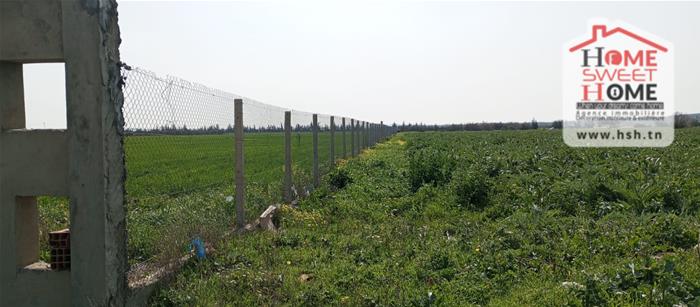 Tebourba&nbsp;Tebourba&nbsp;Terrain&nbsp;Terrain agricole&nbsp;Terrain agricole greenor � tebourba