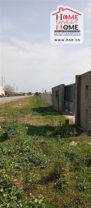 Tebourba&nbsp;Tebourba&nbsp;Terrain&nbsp;Terrain agricole&nbsp;Terrain agricole greenor � tebourba