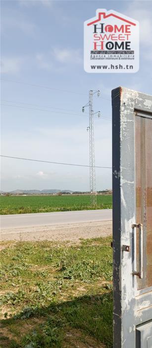 Tebourba&nbsp;Tebourba&nbsp;Terrain&nbsp;Terrain agricole&nbsp;Terrain agricole greenor � tebourba