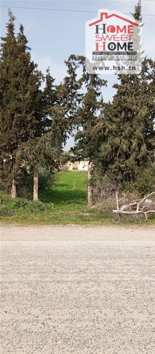 Tebourba&nbsp;Tebourba&nbsp;Terrain&nbsp;Terrain agricole&nbsp;Terrain agricole agrona � tebourba