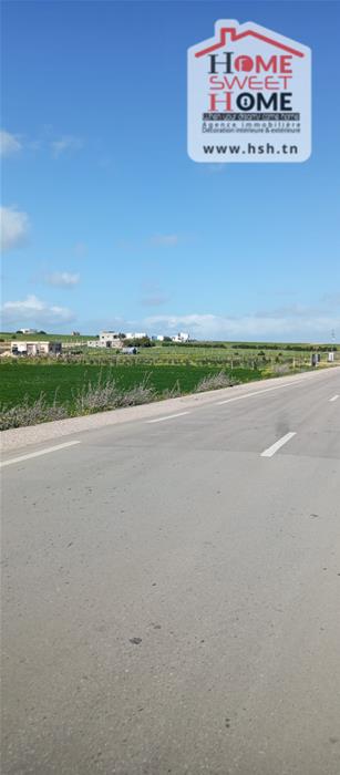 Mornaguia&nbsp;Mornaguia&nbsp;Terrain&nbsp;Terrain agricole&nbsp;Terrain agricole mirona � mornaguia