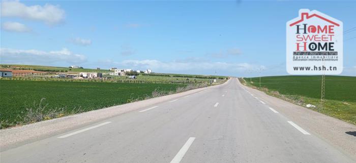 Mornaguia&nbsp;Mornaguia&nbsp;Terrain&nbsp;Terrain agricole&nbsp;Terrain agricole mirona � mornaguia