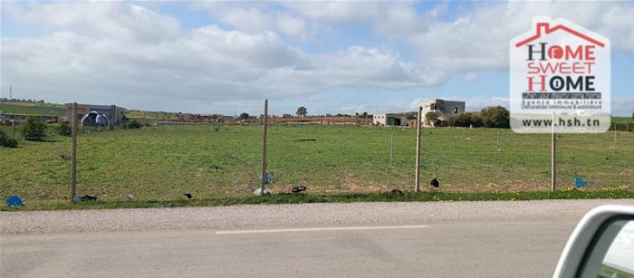 Mornaguia&nbsp;Mornaguia&nbsp;Terrain&nbsp;Terrain agricole&nbsp;Terrain agricole mirona � mornaguia